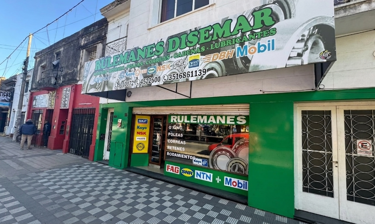 Rulemanes Disemar